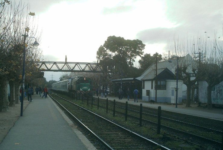 Imagen de Quisieron robarle un bolso y la arrojaron de un tren en marcha