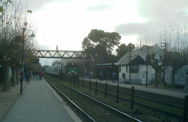 Imagen de Quisieron robarle un bolso y la arrojaron de un tren en marcha