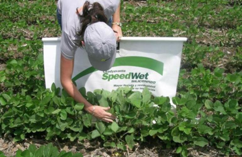 El qu&iacute;mico cuestionado est&aacute; en el producto SpeedWet.