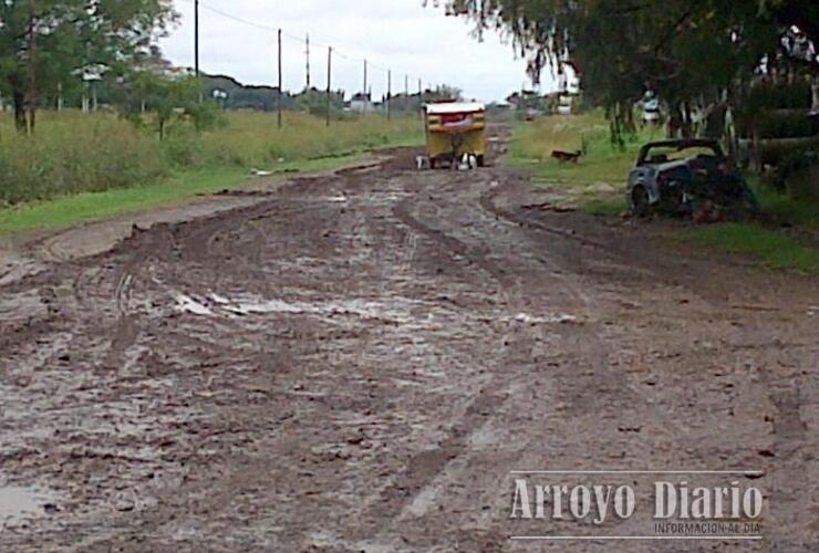 Imagen de Se fue el circo y dejó un desastre