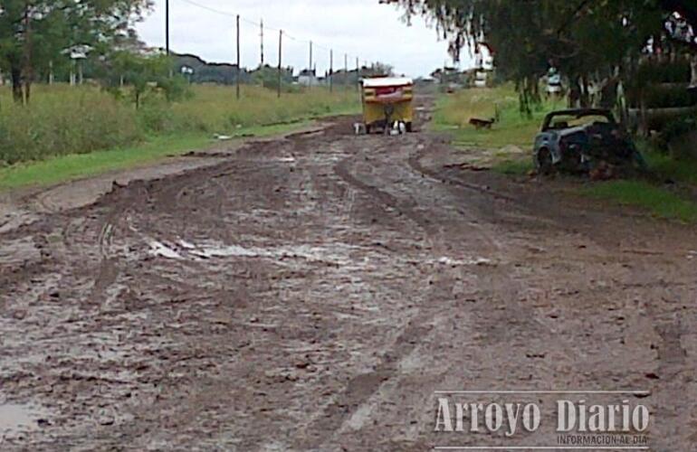 Imagen de Se fue el circo y dejó un desastre