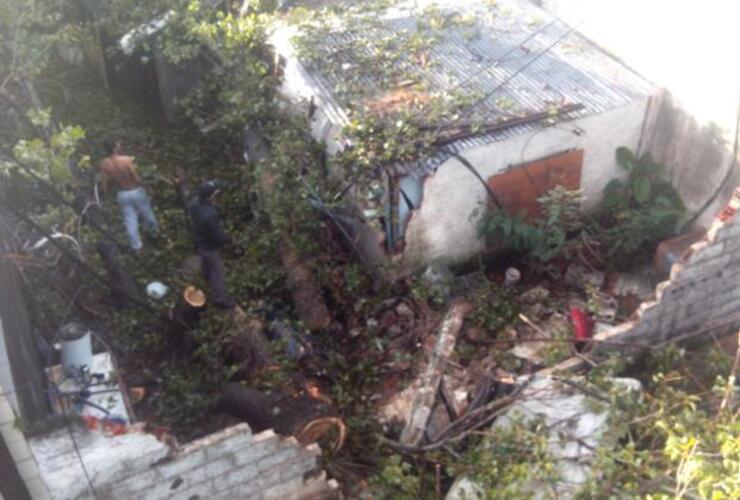 Imagen de En Rosario el viento tumbó un enorme árbol sobre una casa