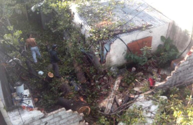 Imagen de En Rosario el viento tumbó un enorme árbol sobre una casa