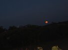 Imagen de En imágenes: La #LunaRoja en todo el mundo