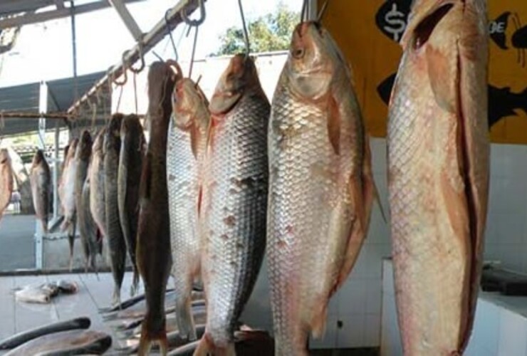 Imagen de Consejos para consumir saludables pescados y frutos de mar en Semana Santa