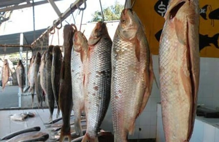 Imagen de Consejos para consumir saludables pescados y frutos de mar en Semana Santa