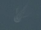 Aunque algunos dicen que sería "Nessie", la imagen podría ser también un tronco, la estela de un barco o una ola.