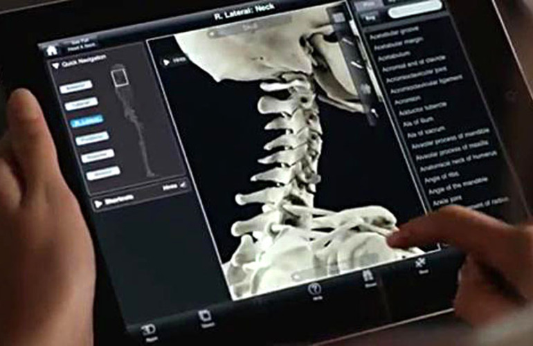 Imagen de Tratamientos 2.0: c&oacute;mo ser&aacute;n los medicamentos del futuro