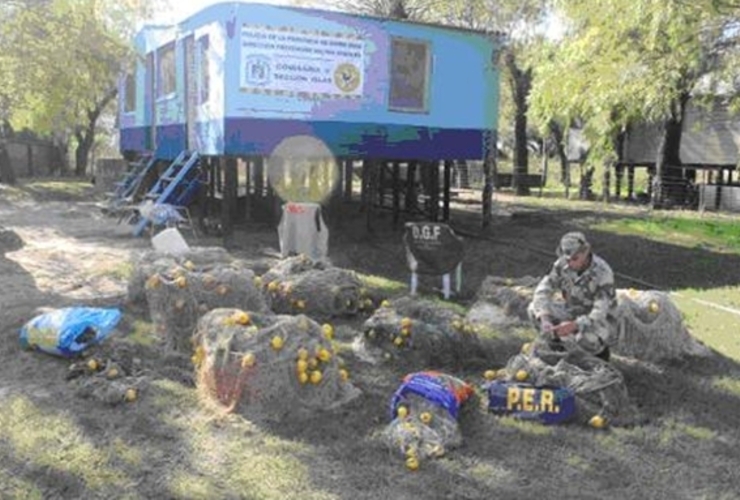 Imagen de La nueva Brigada Rural Acúatica realizó un operativo de saturación en conjunto con las comisarías de Islas de Victoria