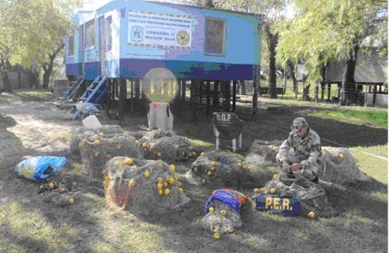 Imagen de La nueva Brigada Rural Acúatica realizó un operativo de saturación en conjunto con las comisarías de Islas de Victoria