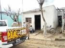 Imagen de Cuatreros de lechones fueron sorprendidos con la carne en la parrilla