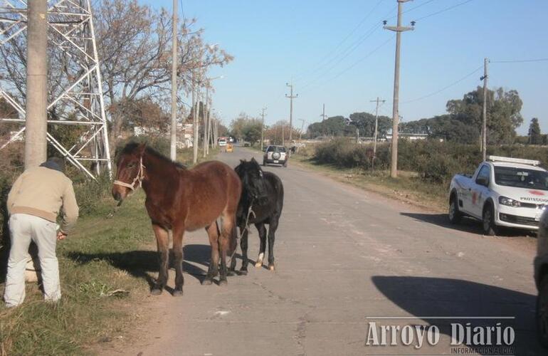 Foto: Claudio Ferreyra