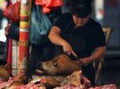Imagen de Insólito: China celebra con un banquete de perros la llegada del verano