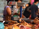 Imagen de Insólito: China celebra con un banquete de perros la llegada del verano