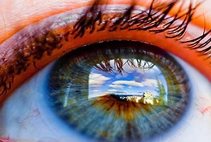 Imagen de Ojos "bi&oacute;nicos", el avance que abre horizontes a los ciegos