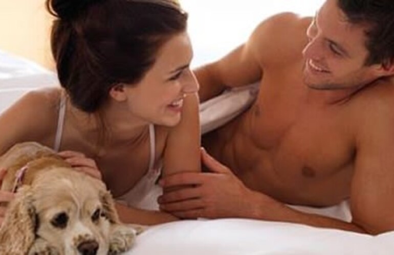 Imagen de Mascotas y parejas