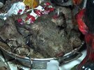 Imagen de Impactantes imágenes de un allanamiento a la casa de un templo umbanda