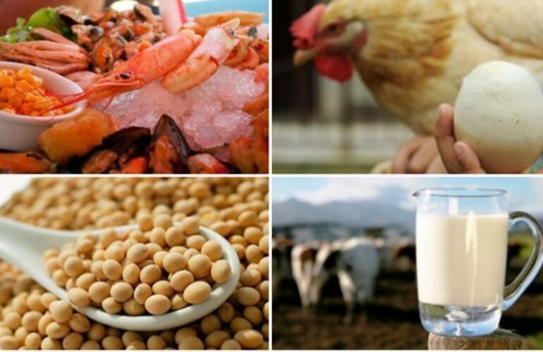 Imagen de &iquest;Cu&aacute;les son los ocho alimentos que causan el 90% de las alergias?