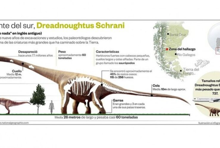 Imagen de La Argentina sigue dando dinosaurios gigantes a la paleontología mundial