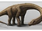 Imagen de La Argentina sigue dando dinosaurios gigantes a la paleontología mundial