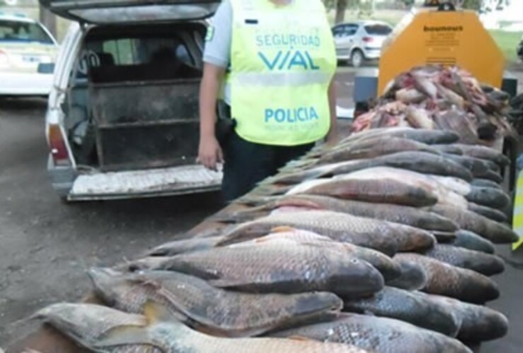 Imagen de Continúa la depredación del río