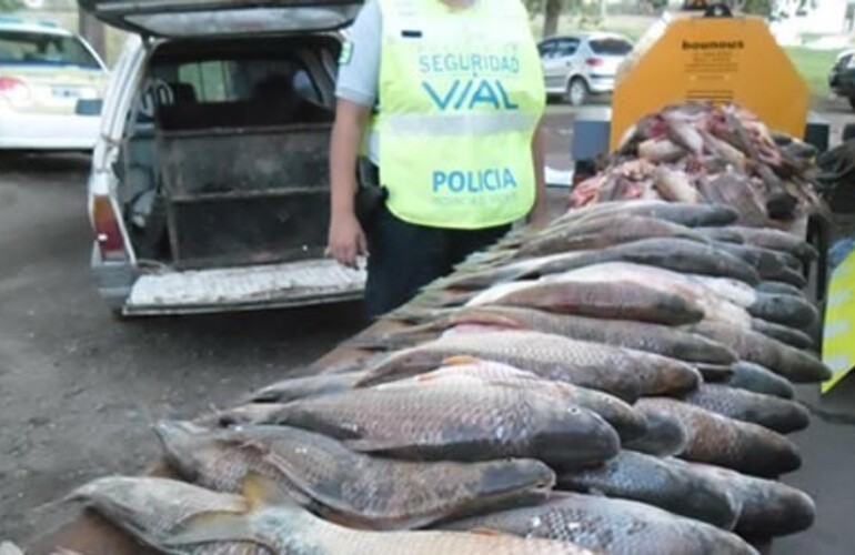 Imagen de Continúa la depredación del río