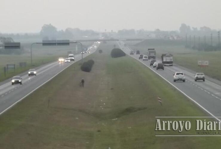 La chacra asaltada anoche está ubicada cerca de la autopista a Buenos Aires, a la altura del peaje. Foto: Archivo AD