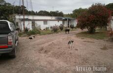 La finca donde vive la familia que sufrió el asalto está ubicada próxima a la autopista Buenos Aires - Rosario en cercanías del peaje de General Lagos. Foto: Claudio Ferreyra