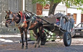 Foto: Imagen Ilustrativa