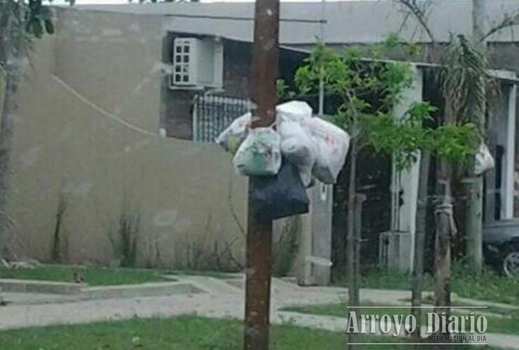 Barrio Disciani Barrio Disciani