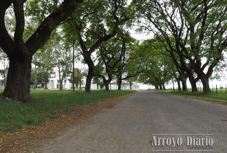 Imagen de Lo asaltaron y lo dejaron en el camino al cementerio