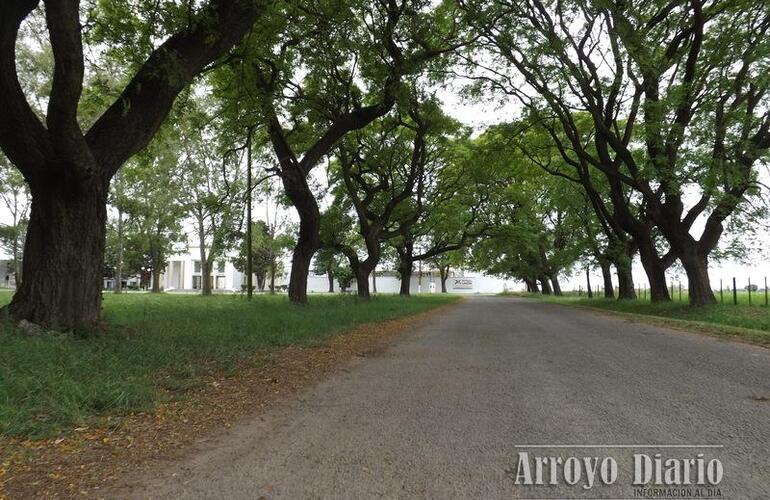 Imagen de Lo asaltaron y lo dejaron en el camino al cementerio