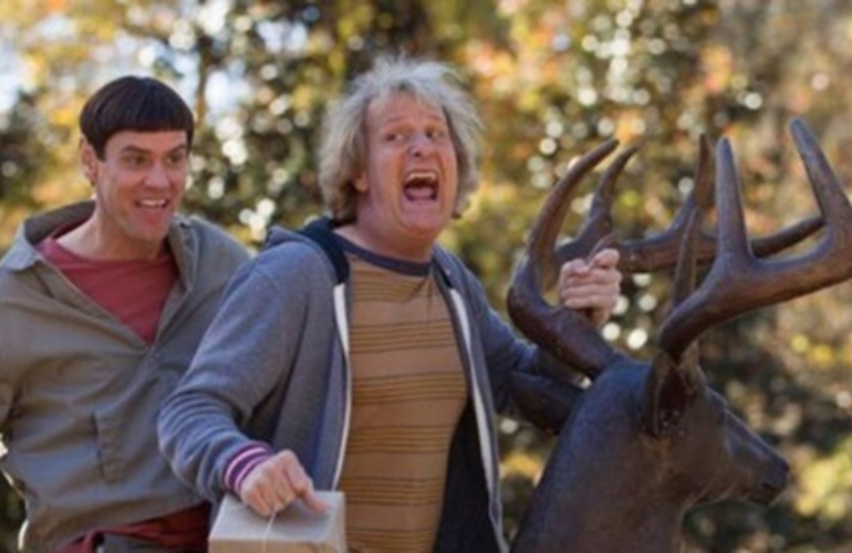 Imagen de Un estudio refuerza la teor&iacute;a de que los hombres cometen muchas m&aacute;s idioteces que las mujeres