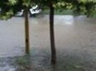 Imagen de Barrios anegados por el temporal