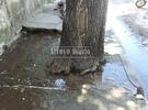 Imagen de Barrio Güemes: reclamo por rotura de caño de agua