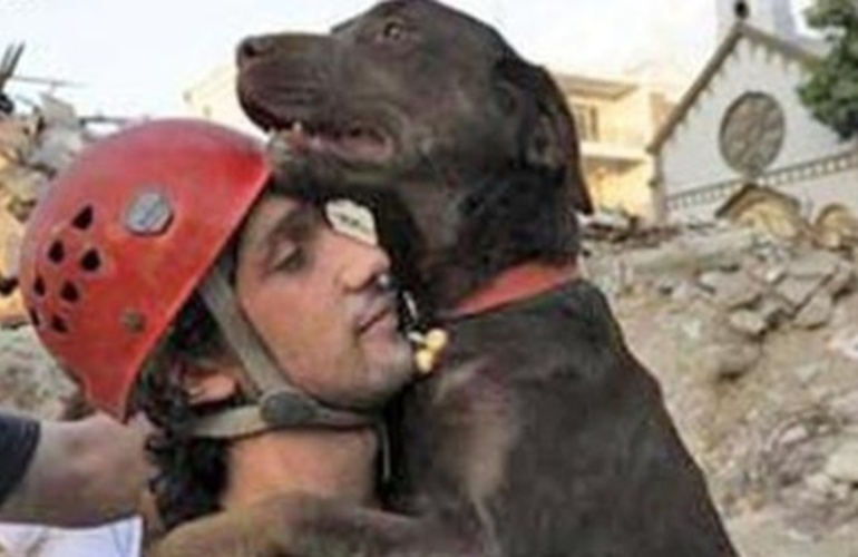 Imagen de Murió Lola, la perra rescatista que actuó con su dueño en la tragedia de Salta 2141