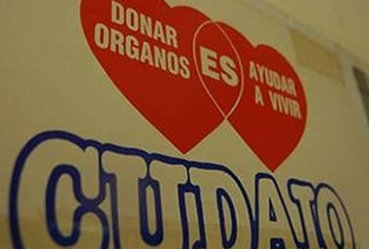 El dato: Santa Fe, segunda en cantidad de donantes en el país El dato: Santa Fe, segunda en cantidad de donantes en el país