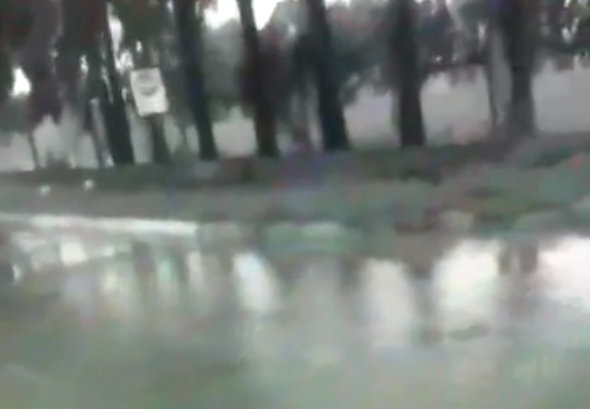 Foto: Captura de pantalla video