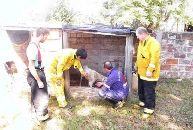 Foto: infopico.com