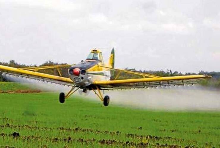 Foto: Imagen Ilustrativa Foto: Imagen Ilustrativa