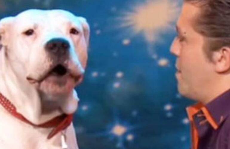 El animal acudi&oacute; junto a su due&ntilde;o y sentado en una silla, comenz&oacute; a emitir aullidos mientras sonaban las estrofas del tema musical.