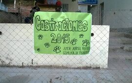Foto: Facebook Amor Animal Fighiera