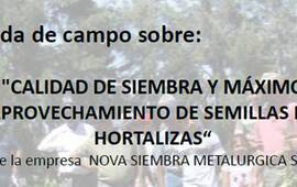 Jornada de campo en Pueblo Esther
