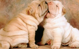 Foto: Imagen Ilustrativa