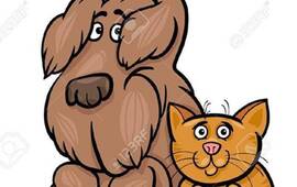 Campaña solidaria para ayudar a perros y gatos abandonados