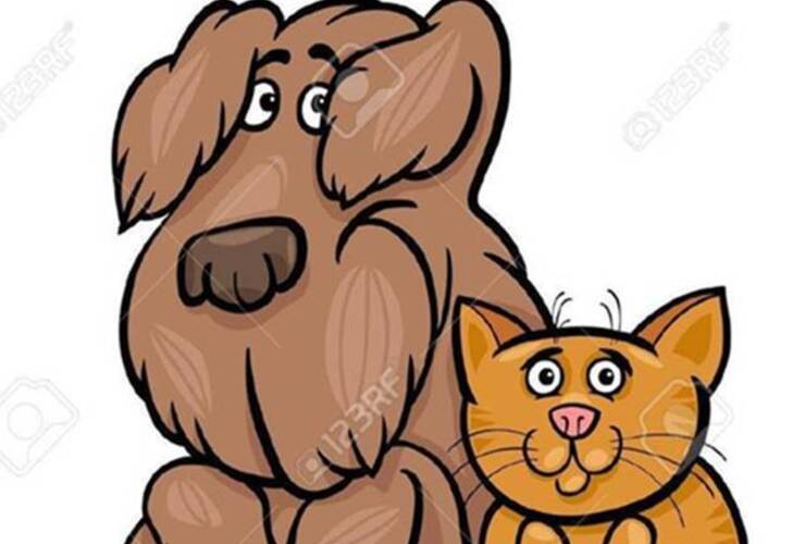 Campaña solidaria para ayudar a perros y gatos abandonados