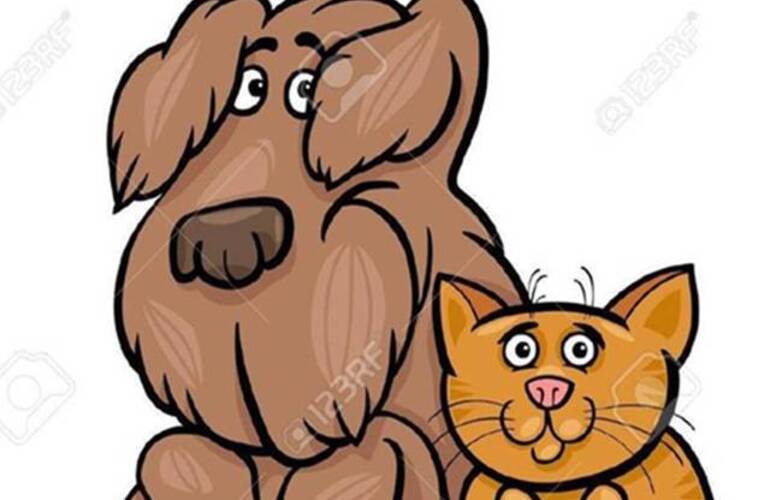 Campaña solidaria para ayudar a perros y gatos abandonados