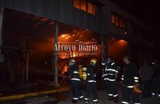 Los bomberos trabajaban para sofocar los incendios. Foto: Maximiliano Pascual