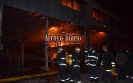 Los bomberos trabajaban para sofocar los incendios. Foto: Maximiliano Pascual