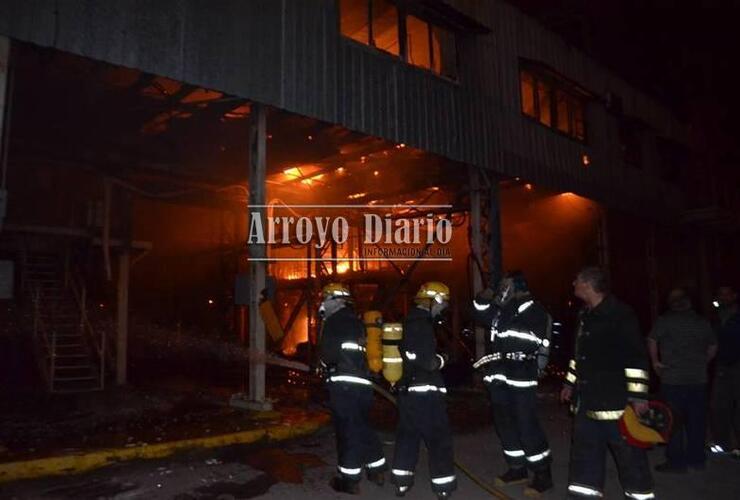 Los bomberos trabajaban para sofocar los incendios. Foto: Maximiliano Pascual